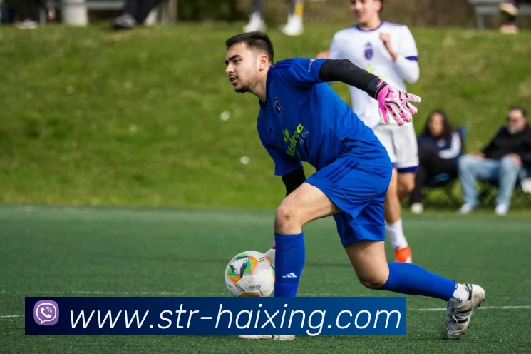 海星体育官网发展历程